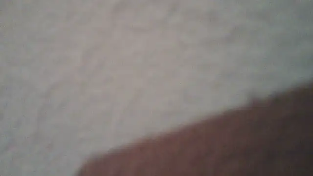 lollaxjf live