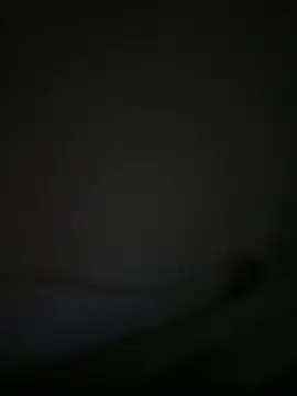 Adandan01 live