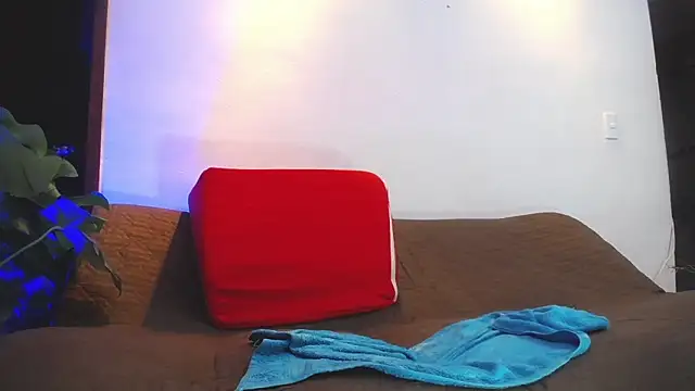 shellsy_hans live
