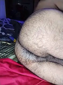Professor_Leo_ live