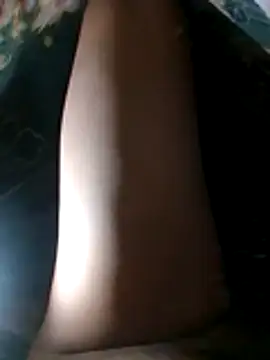 loboAudZ90 live