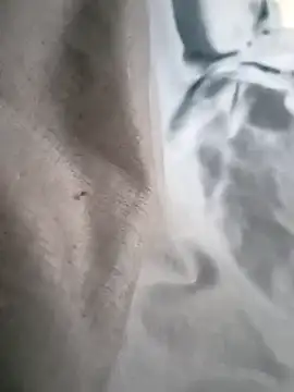 NiceBadgera live
