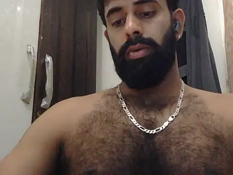 indianhairybull live