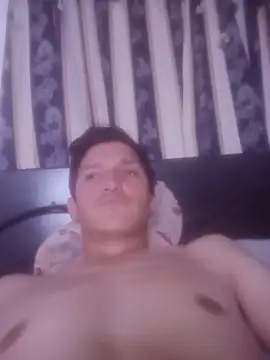 pelukeitor live