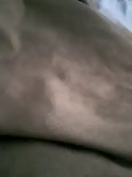 NiceBadgera live