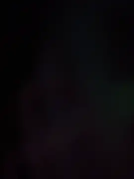BunnyYT live