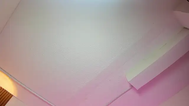 Flor_pink live