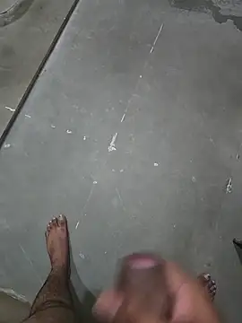 bigbuldgee live
