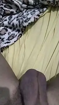 Novinhoie live