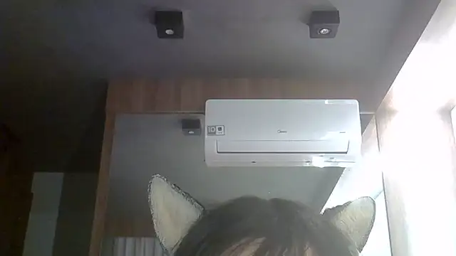 SkinnyKitten live