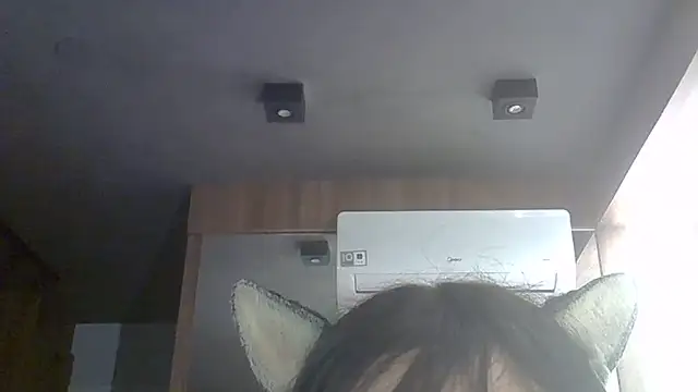 SkinnyKitten live