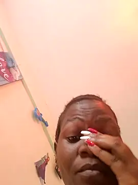 meshje live