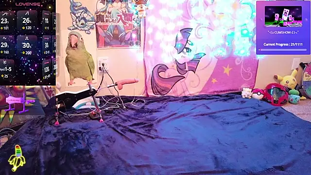 BabyZelda live