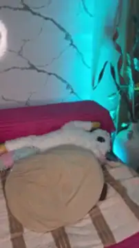 nare_22 live