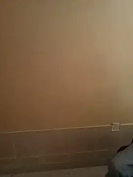 spiceydiddy live