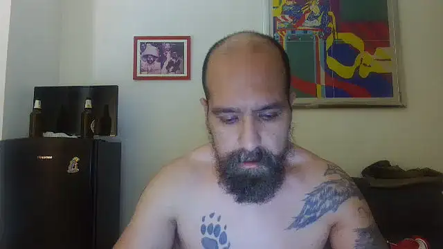 AMIRDIB2025 live
