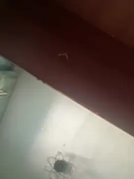 Sexyfemm_ live