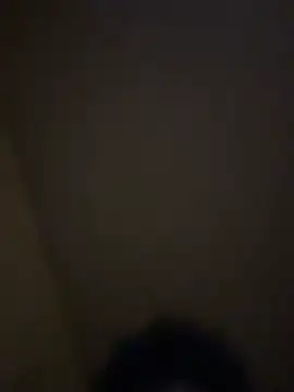Theyluvtay live