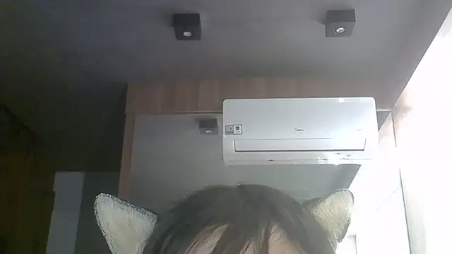 SkinnyKitten live
