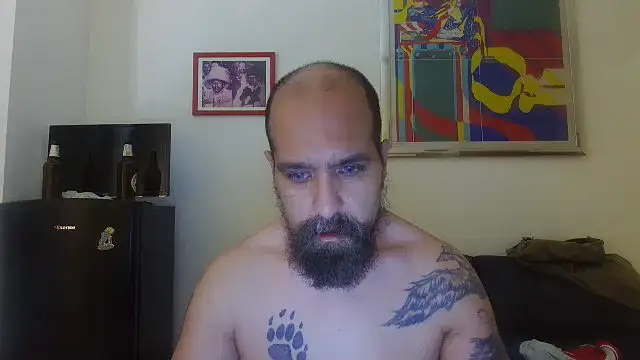 AMIRDIB2025 live