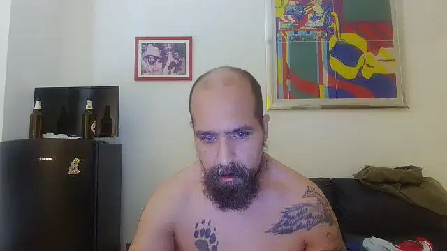 AMIRDIB2025 live