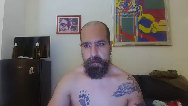 AMIRDIB2025 profile