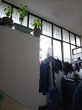 EllisW8 live