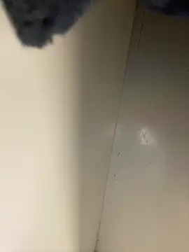 sasatimido live