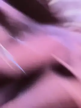 Gozudo23451 live