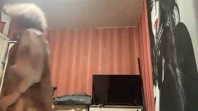 nordystar live