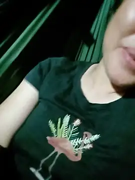 auro99 live