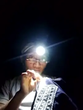 Linka998 live