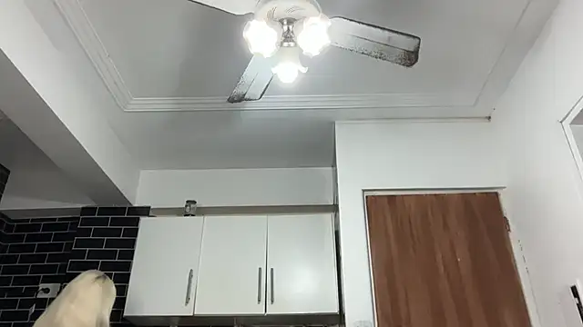 MUSCLEANGEL1 live