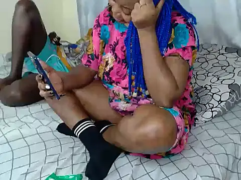 Petit_haris live