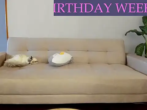AmandaCallum live