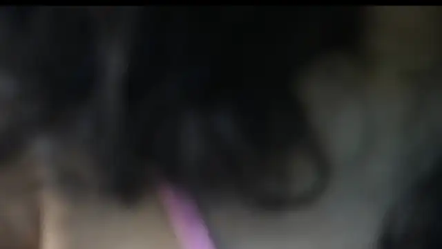 -AyeshaSinghania- live