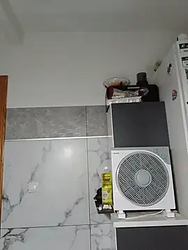 Amelia_3978 live