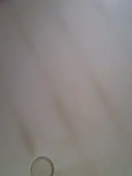 Ely_Elenita live
