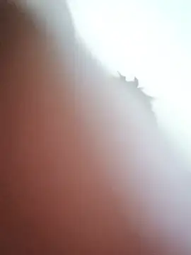 freakytash live