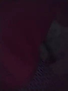 Jena_baby live