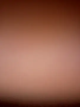 Elena_Mia live