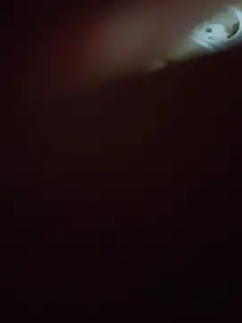 Alevsiz live