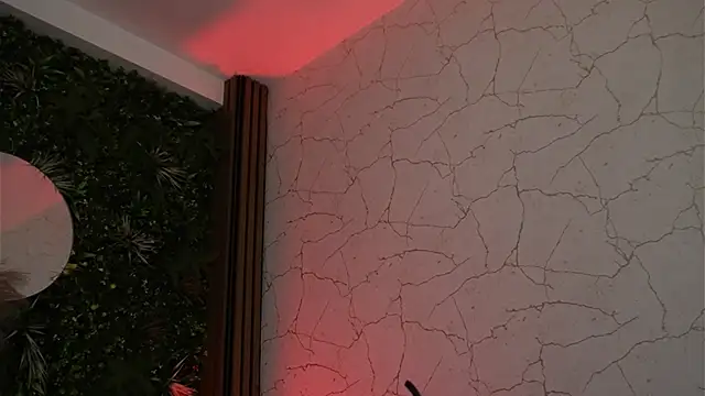 sisi_von_dee live