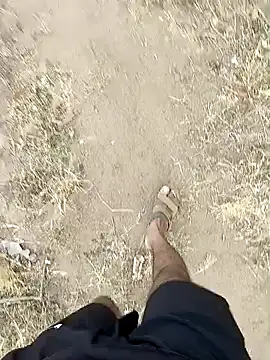 Forest_lover24 live