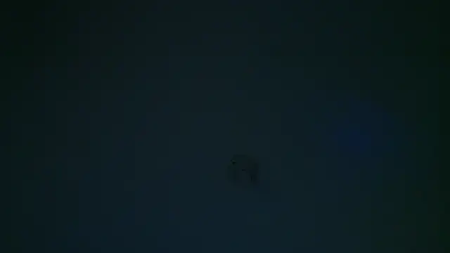 Real_virgin_Pussy live
