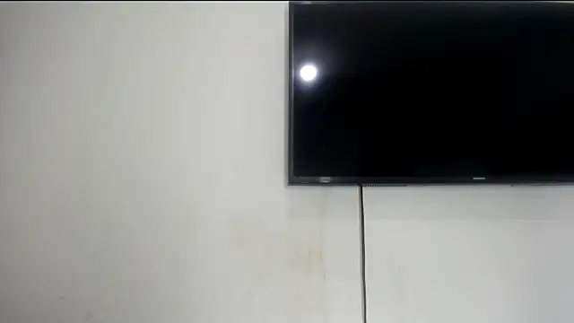 Fox_Loves live