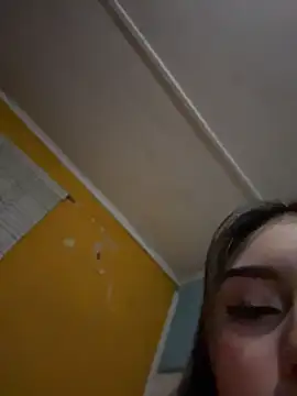 Polip0p live