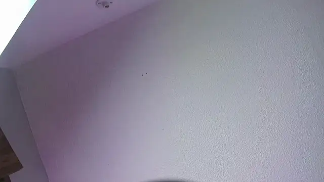 Flor_pink live