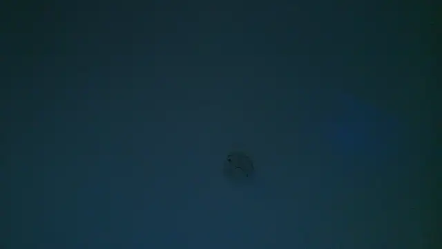 Real_virgin_Pussy profile