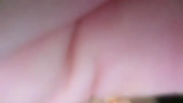 ellababee live